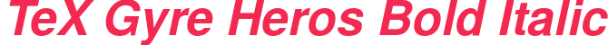 TeX Gyre Heros Bold Italic